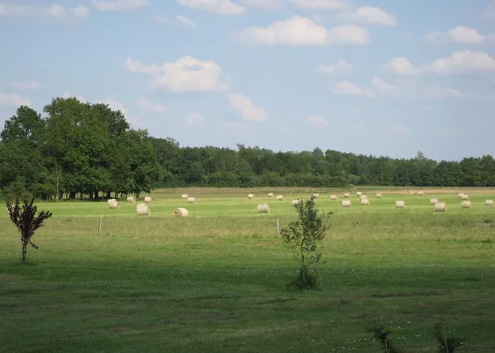 La Petite Grange Climatisé Plain-pied 3 5 Personnes 2 Toilettes, Parking, Wifi, Piscine D'été Chauffée à Partager, Animaux Acceptés En Pleine Nature Casa de Férias *